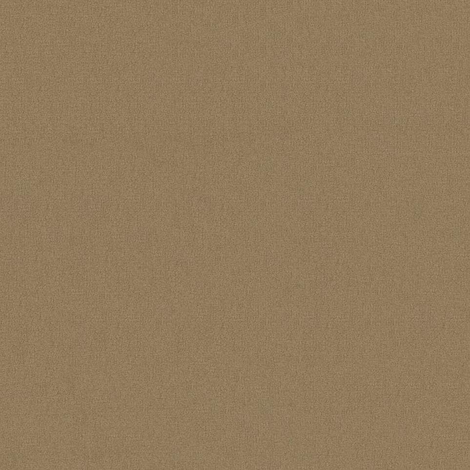 Cut Pile Peanut Butter Beige/Tan Carpet