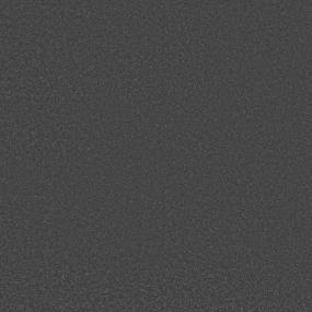 Textured Saxony Black Bird Black Carpet