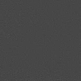 Textured Saxony Black Bird Black Carpet
