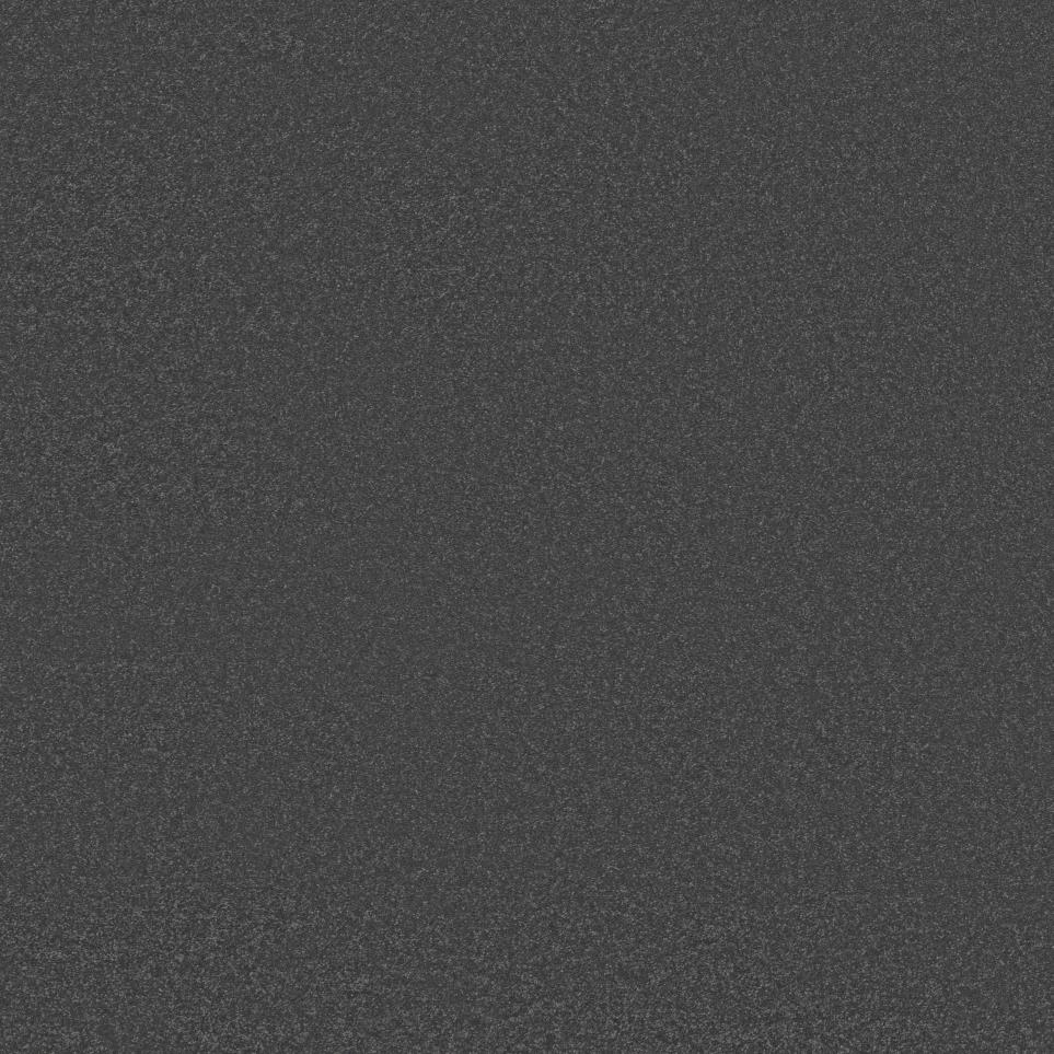 Textured Saxony Black Bird Black Carpet