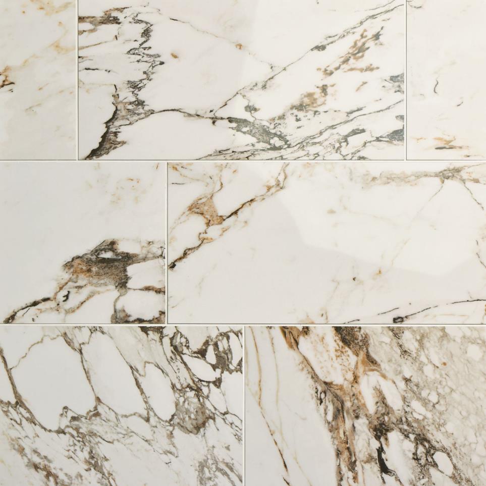 Tile Calacatta Aries Polished Beige/Tan Tile