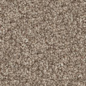 Casual Texture Cougar Brown Carpet