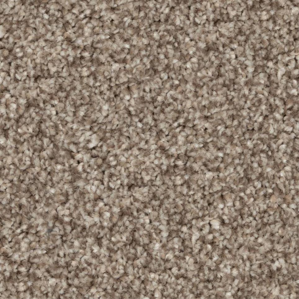 Casual Texture Cougar Brown Carpet
