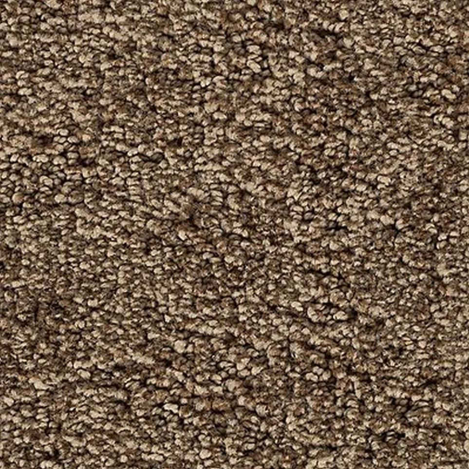 Textured Saxony GENTLE FAWN Brown Carpet