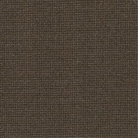 Loop Eclectic Beige/Tan Carpet