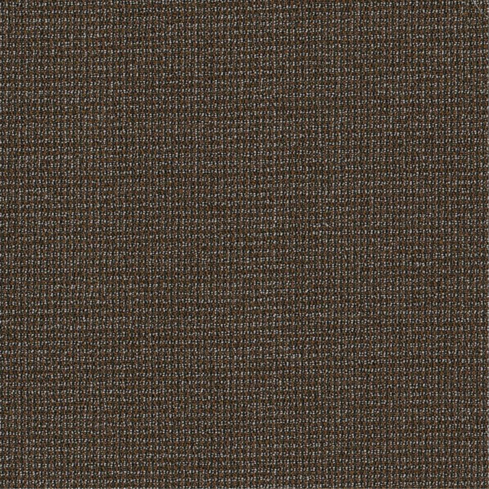 Loop Eclectic Beige/Tan Carpet