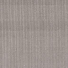 Pattern Seagull Gray Carpet
