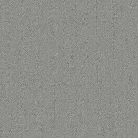 Pattern Silver Dollar Gray Carpet