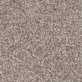 Textured Saxony Strategy Brown Carpet