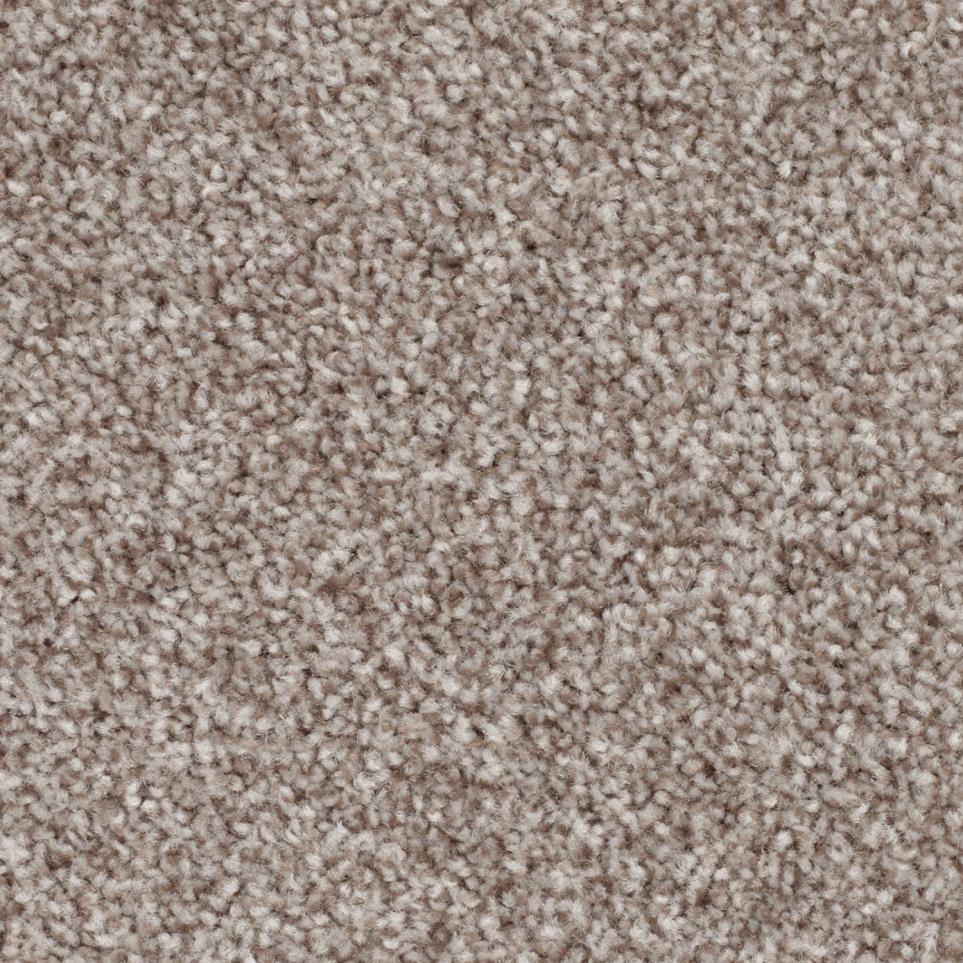 Texture Strategy Brown Carpet