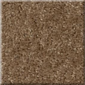 Texture Shooting Star Brown Carpet