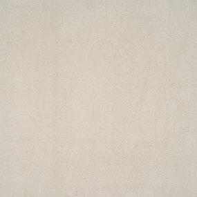 Textured Saxony Water Chestnut Beige/Tan Carpet