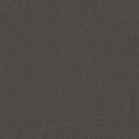 Textured Saxony Wonder Brown Carpet