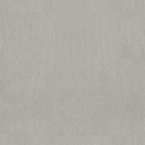 Textured Saxony Snicker Doodle Gray Carpet