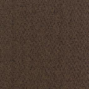Cut Pile Earth Tone Brown Carpet Tile