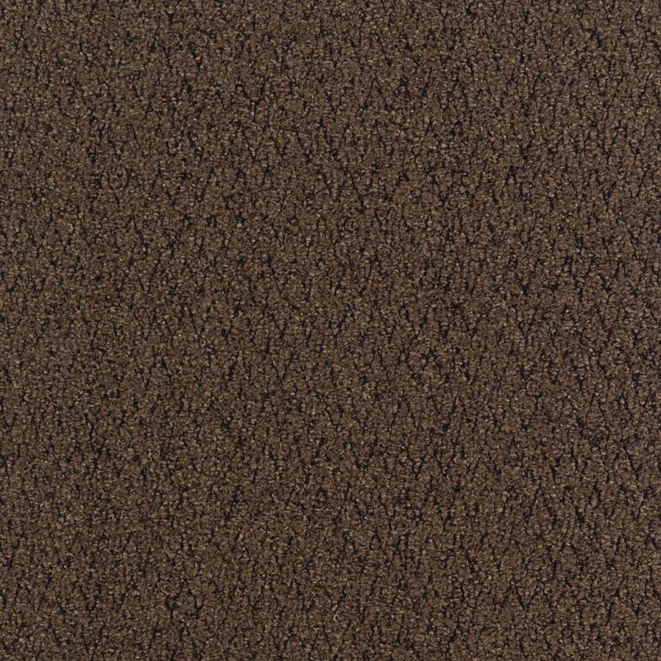 Cut Pile Earth Tone Brown Carpet Tile