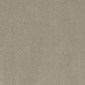 Textured Saxony Versatile Beige/Tan Carpet