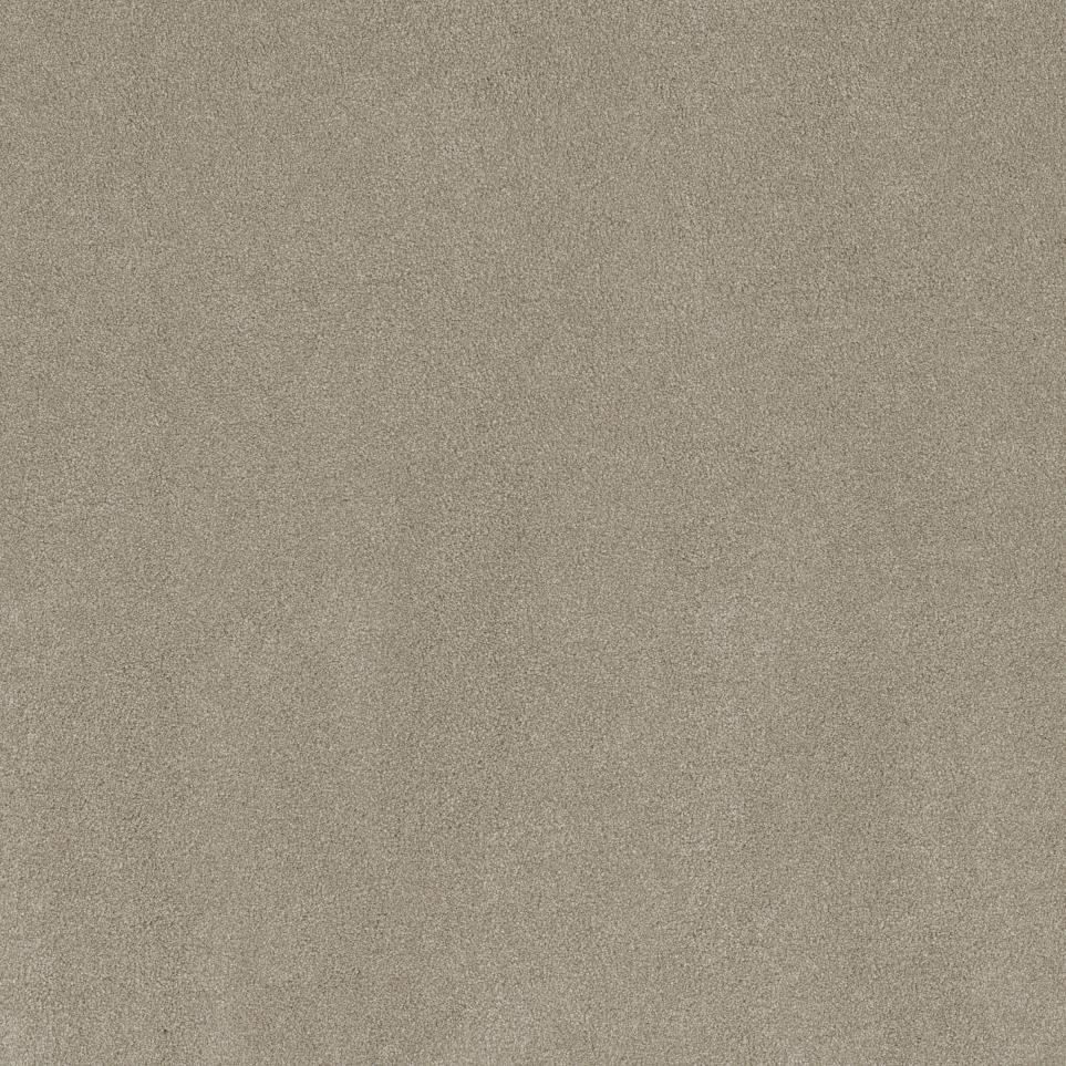 Textured Saxony Versatile Beige/Tan Carpet