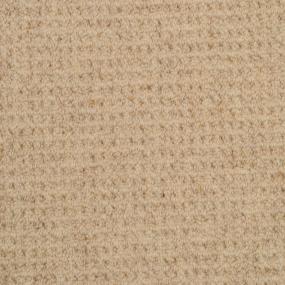 Loop Claria Beige/Tan Carpet