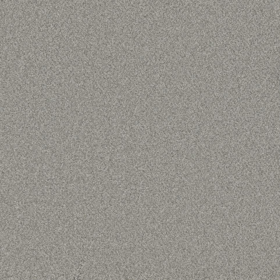 Texture Comforting Gray Carpet