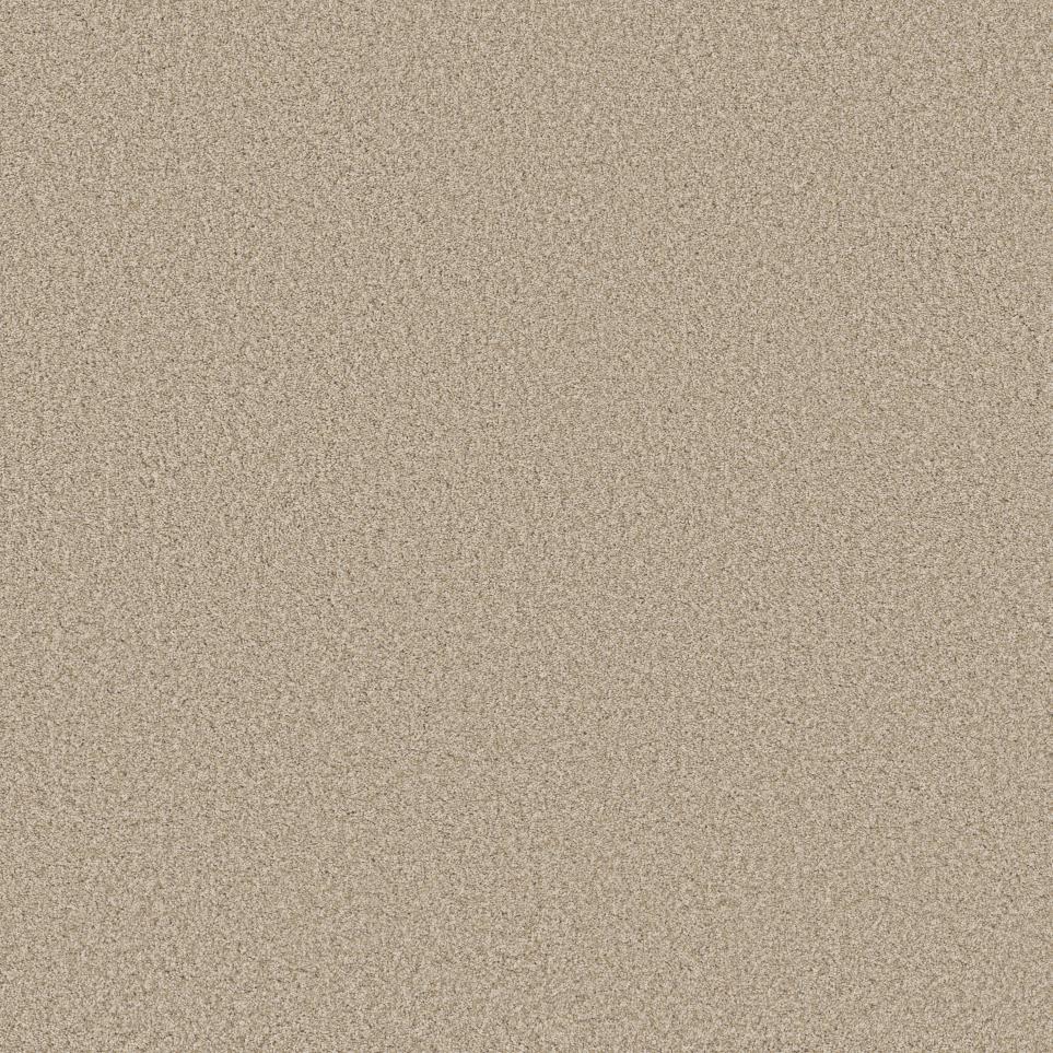 Texture Burlap Beige/Tan Carpet