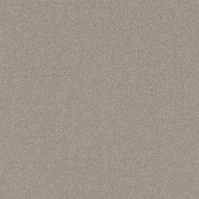 Textured Saxony Promised Perfection Beige/Tan Carpet