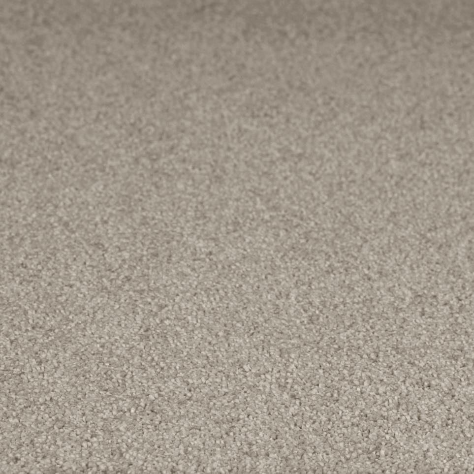 Textured Saxony Promised Perfection Beige/Tan Carpet