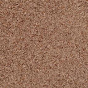 Casual Texture River Stone Brown Carpet