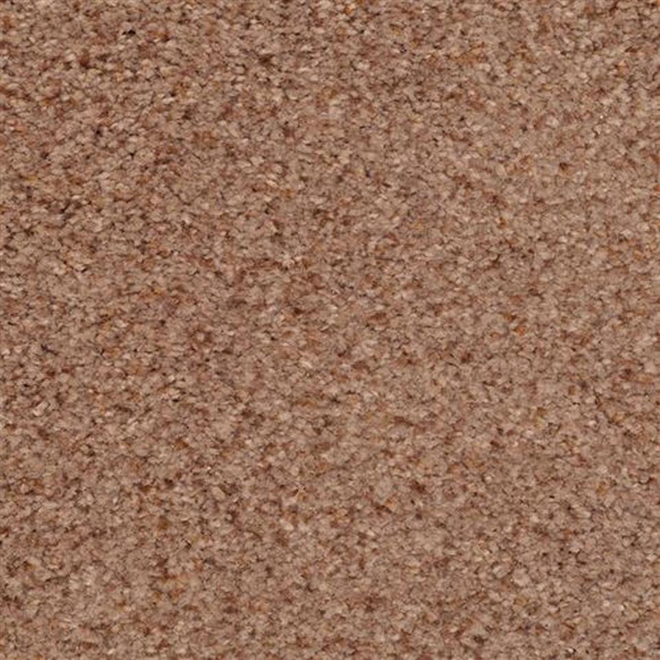 Casual Texture River Stone Brown Carpet