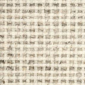 Pattern Brown Brown Carpet