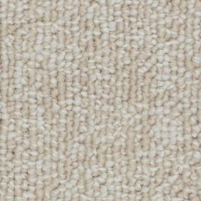 Loop Algonquin Trail Beige/Tan Carpet
