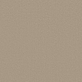 Textured Saxony Cashmere Brown Carpet