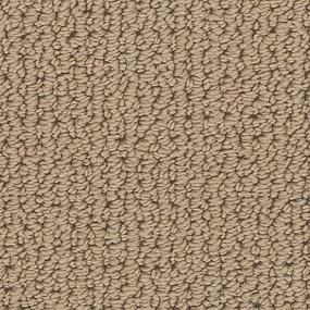 Loop Ancient Coin Beige/Tan Carpet