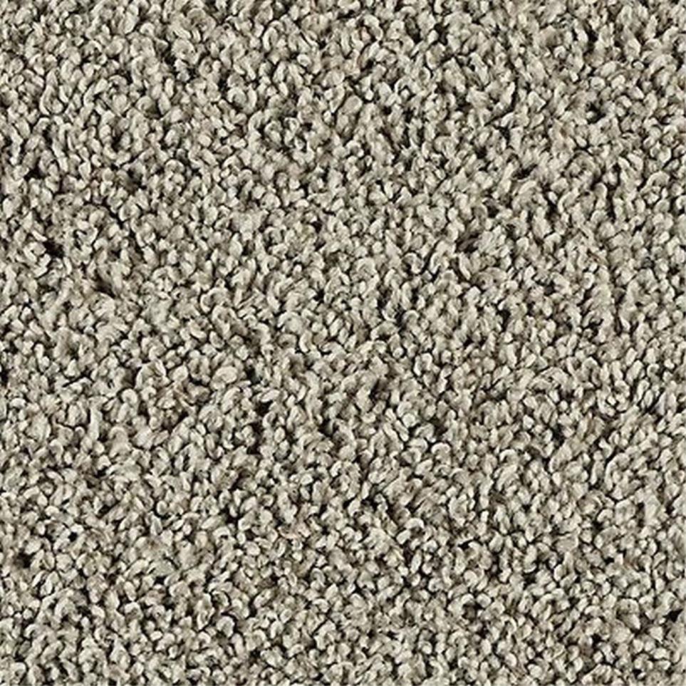 Textured Saxony Pewter Cloud Gray Carpet