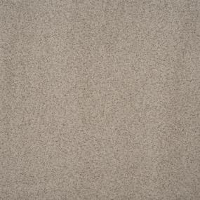 Textured Saxony Sand Motif Beige/Tan Carpet