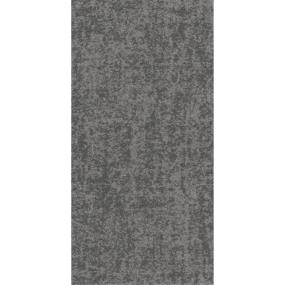 Loop Nickel                         Gray Carpet Tile