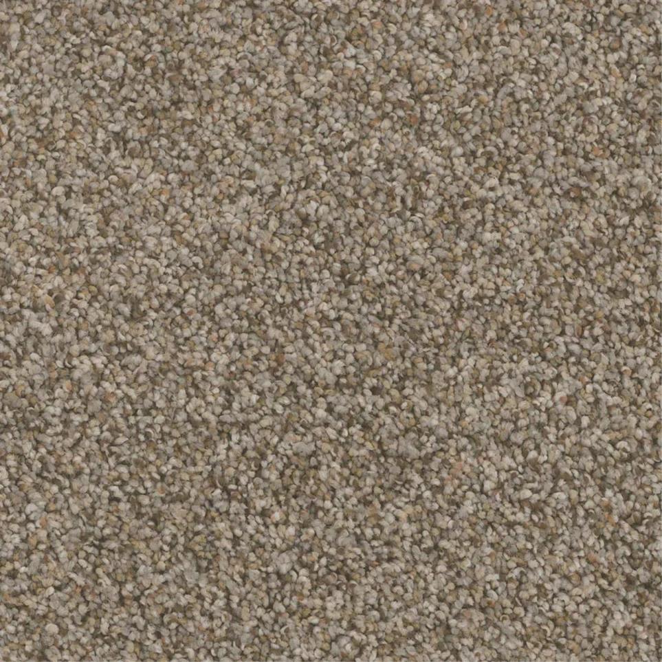 Textured Saxony Chateau Brown Carpet