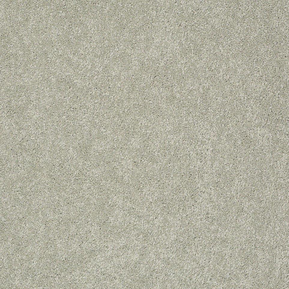 Texture Topcoat Gray Carpet