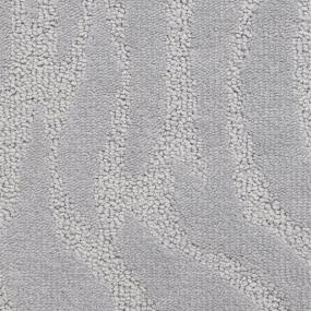 Pattern Victoria Basin Gray Carpet