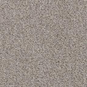 Casual Texture Fawn Bark Gray Carpet