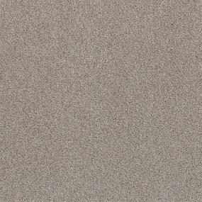 Casual Texture Fawn Bark Gray Carpet