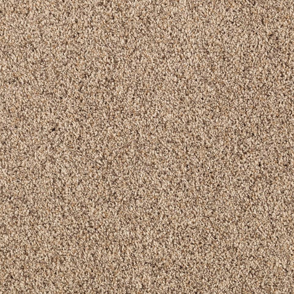 Texture Homestead  Carpet