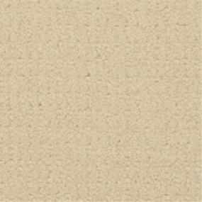Pattern Capri Cream Beige/Tan Carpet