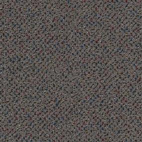 Loop Healthful Gray Carpet