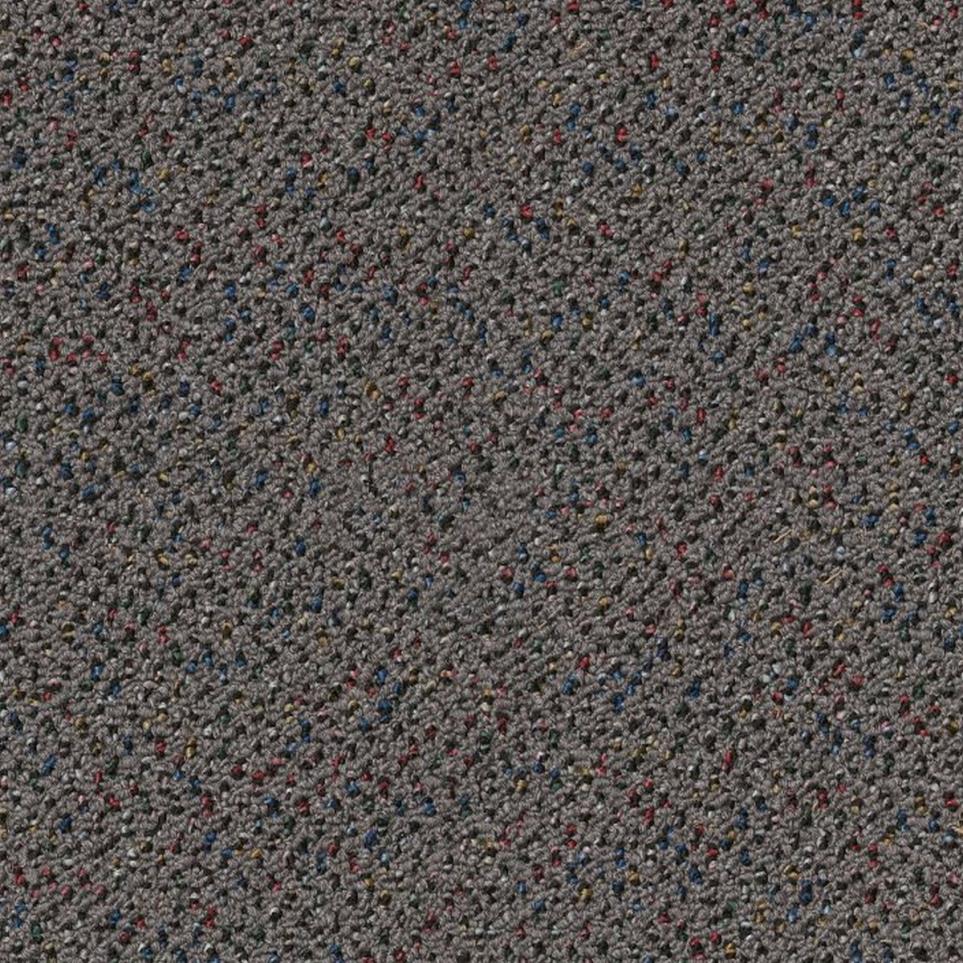 Loop Healthful Gray Carpet