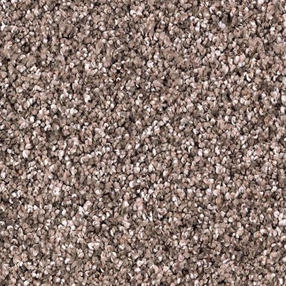 Textured Saxony Mineral Brown Brown Carpet