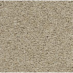 Textured Saxony Hall Of Fame Beige/Tan Carpet
