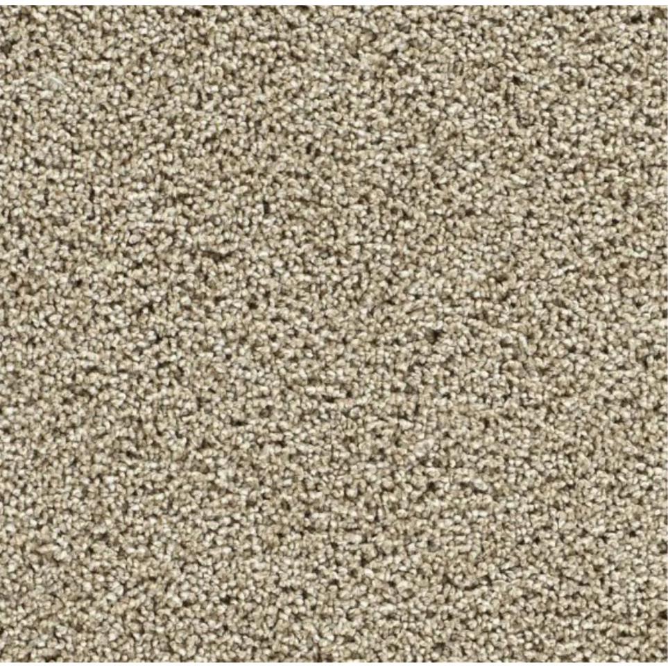 Textured Saxony Hall Of Fame Beige/Tan Carpet