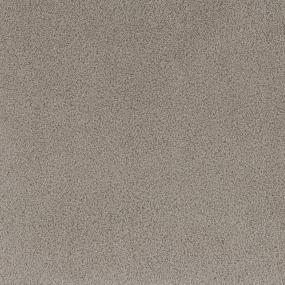 Textured Saxony Freeport Beige/Tan Carpet