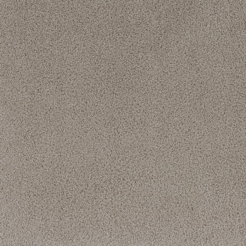 Textured Saxony Freeport Beige/Tan Carpet